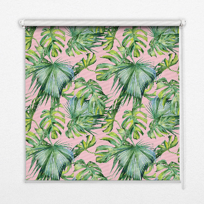 Fabric roller blind for windows with tropical leaf varieties
