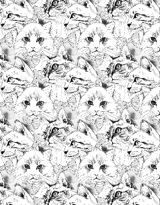 Fabric roller blind for window Drawn cats