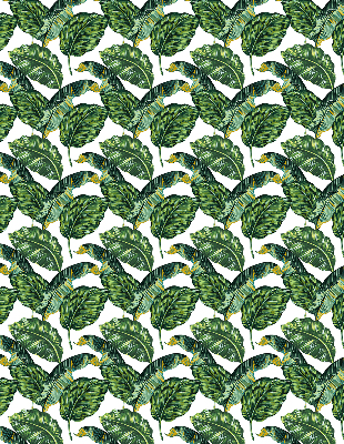 Blackout roller blind for window Exotic leaves