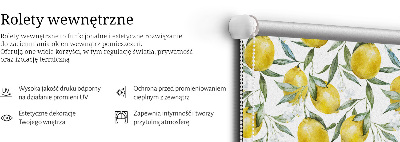 Fabric roller blind for window Lemons