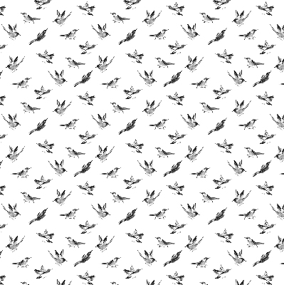 Blackout roller blind for window Birds