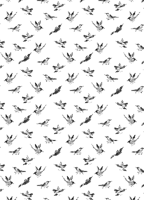 Blackout roller blind for window Birds