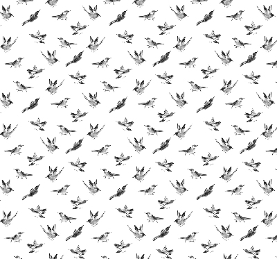Blackout roller blind for window Birds