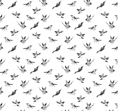 Blackout roller blind for window Birds