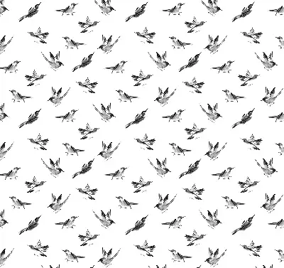 Blackout roller blind with birds pattern