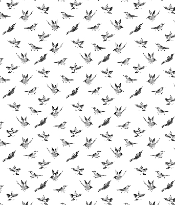 Blackout roller blind for window Birds