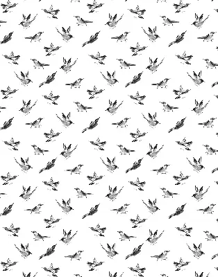 Blackout roller blind with birds pattern