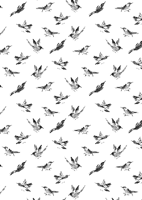 Blackout roller blind for window Birds