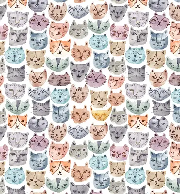 Blackout roller blind colorful cat faces print