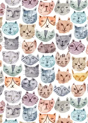 Blackout roller blind colorful cat faces print