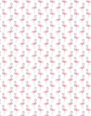 Blackout roller blind with flamingo pattern