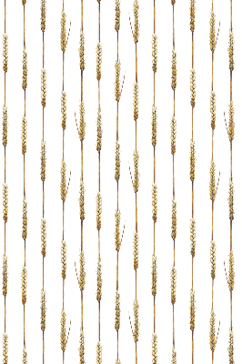 Blackout roller blind Cereal
