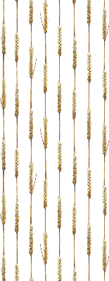Blackout roller blind Cereal