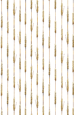 Blackout roller blind Cereal