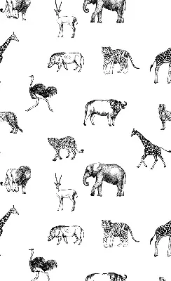 Blackout roller blind with animal print