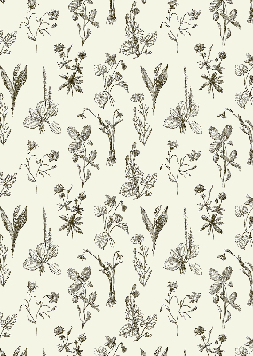 Blackout roller blind for window Drawn flowers