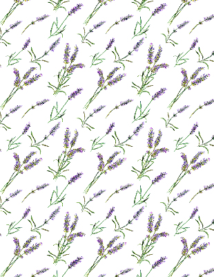 Fabric roller blind for window Lavender
