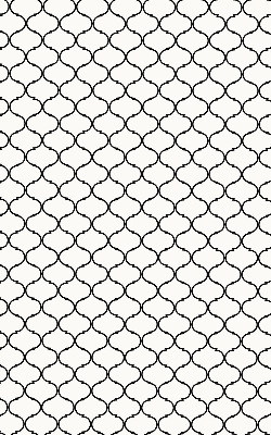 Fabric roller blind for window Barbed wire