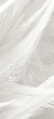 Blackout roller blind for window feathers pattern
