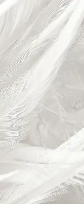 Blackout roller blind for window feathers pattern