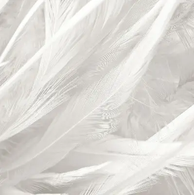Blackout roller blind for window feathers pattern