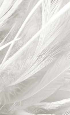 Blackout roller blind for window feathers