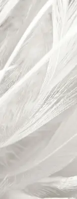 Blackout roller blind for window feathers pattern