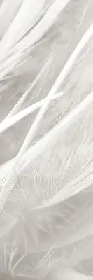 Blackout roller blind for window feathers pattern