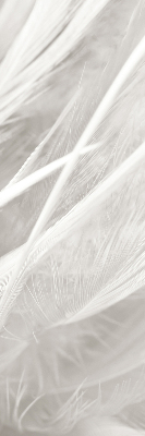 Blackout roller blind for window feathers
