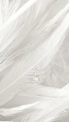 Blackout roller blind for window feathers pattern