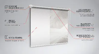 Blackout roller blind for window feathers pattern