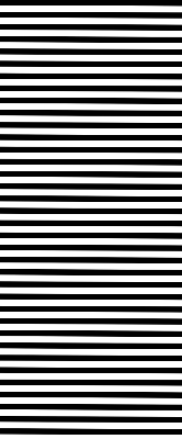 Blackout roller blind for window Black stripes