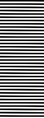 Blackout roller blind for window Black stripes