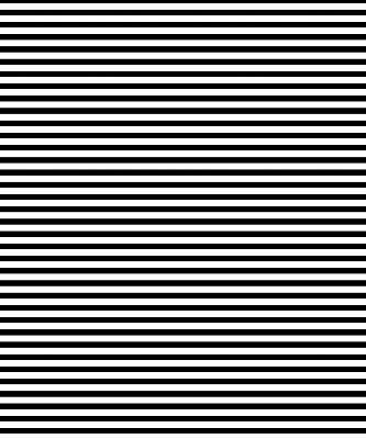Blackout roller blind for window Black stripes