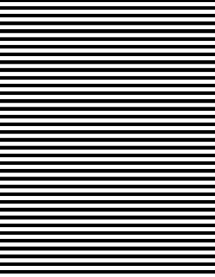Blackout roller blind for window Black stripes