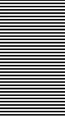 Blackout roller blind for window with black stripes