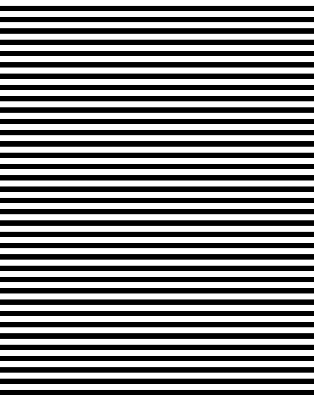 Blackout roller blind for window Black stripes