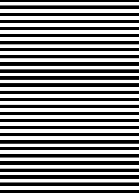 Blackout roller blind for window Black stripes