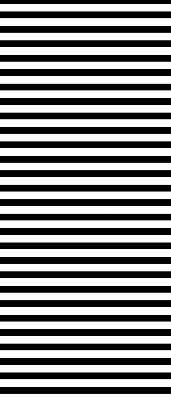 Blackout roller blind for window Black stripes