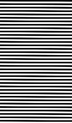 Blackout roller blind for window with black stripes