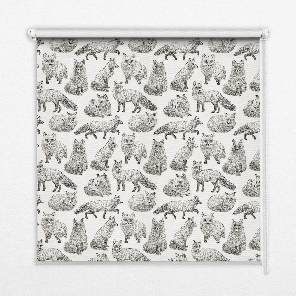 Blackout roller blind for window Gray foxes