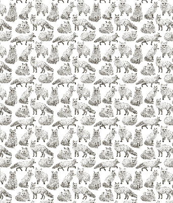Blackout roller blind for window Gray foxes