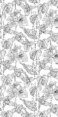 Blackout roller blind Sketched flowers