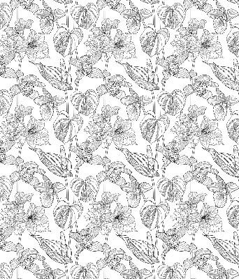 Blackout roller blind Sketched flowers