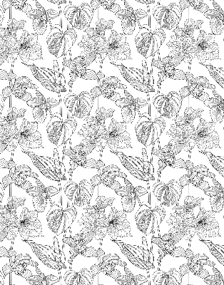 Blackout roller blind Sketched flowers