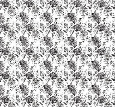Fabric roller blind for window Drawn nature