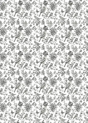 Blackout roller blind with drawn birds and plants design