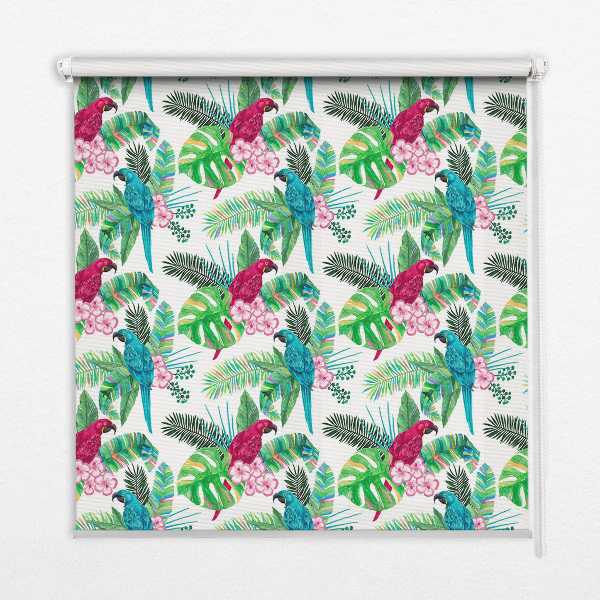 Fabric roller blind for window Parrots