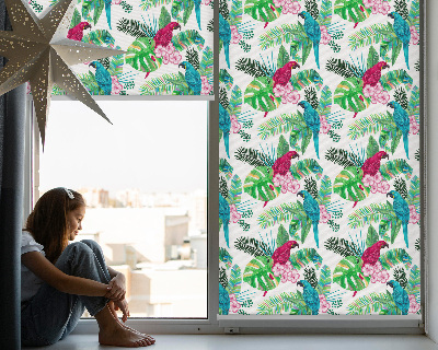Fabric roller blind for window Parrots