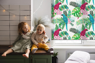 Fabric roller blind for window Parrots